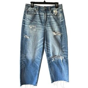 American Eagle Outfitters STRIGID Distressed Super High-rise Baggy Straight Jean